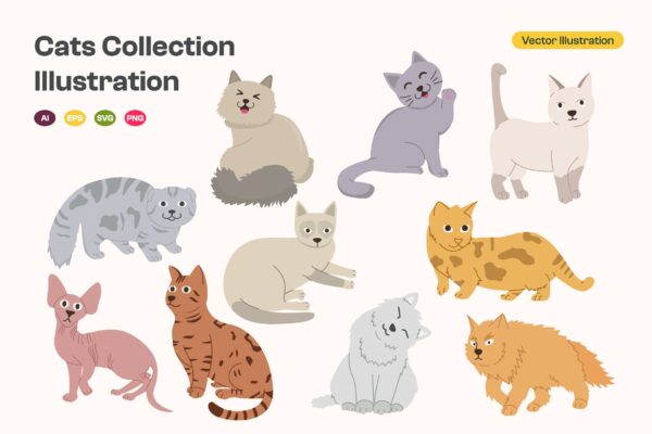 Cats Collection Illustration